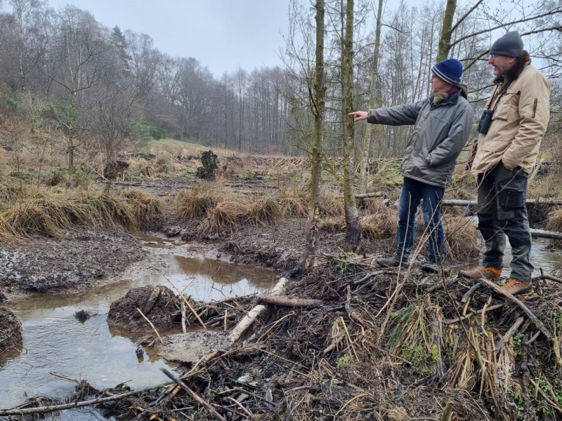 Beaver Dam Analogs - Bauen, wie die Biber