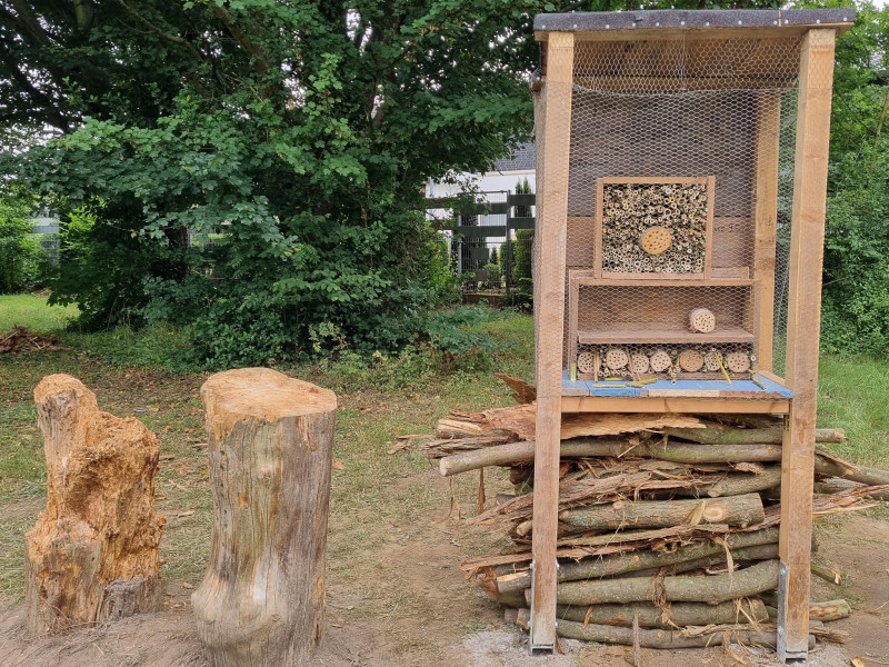 Grünes Klassenzimmer am Neffelbach mit Insektenhotel