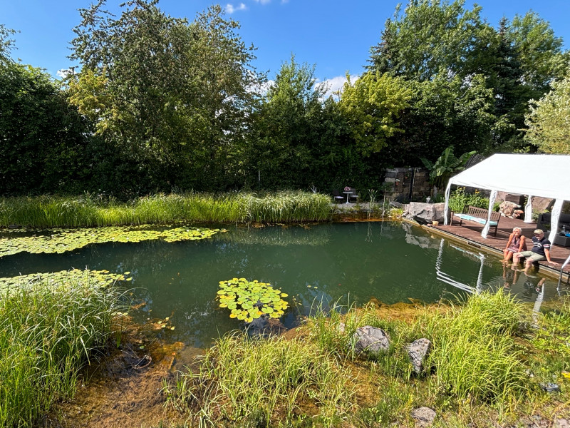 Ab in den Naturschwimmteich