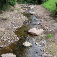 Astakus_Aktuelles_OlewigerBach_neu_03