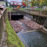 Fischpass 1