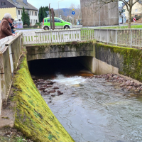 Fischtreppe