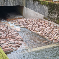 Fischpass 3 I