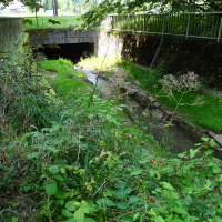 DSC07143